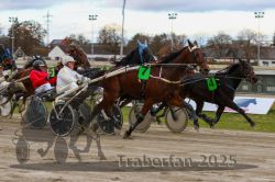 Dateiname=20251120_r05_081_R05_0190.jpg
Dateigröße=301KB
Abmessungen: 1000x667
hinzugefügt am: 21. November 2025 20251120_r05_081_R05_0190.jpg