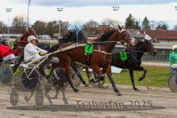 Dateiname=20251120_r05_082_R05_0191.jpg
Dateigröße=297KB
Abmessungen: 1000x667
hinzugefügt am: 21. November 2025 20251120_r05_082_R05_0191.jpg