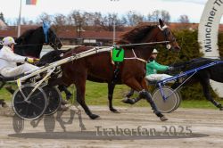 Dateiname=20251120_r05_084_R05_0195.jpg
Dateigröße=301KB
Abmessungen: 1000x667
hinzugefügt am: 21. November 2025 20251120_r05_084_R05_0195.jpg