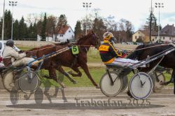 Dateiname=20251120_r05_087_R05_0204.jpg
Dateigröße=324KB
Abmessungen: 1000x667
hinzugefügt am: 21. November 2025 20251120_r05_087_R05_0204.jpg