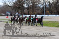 Dateiname=20251120_r05_088_R05_0206.jpg
Dateigröße=355KB
Abmessungen: 1000x667
hinzugefügt am: 21. November 2025 20251120_r05_088_R05_0206.jpg