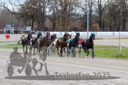 Dateiname=20251120_r05_089_R05_0208.jpg
Dateigröße=355KB
Abmessungen: 1000x667
hinzugefügt am: 21. November 2025 20251120_r05_089_R05_0208.jpg