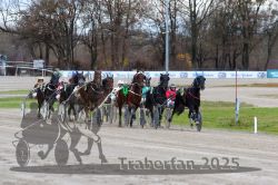 Dateiname=20251120_r05_090_R05_0210.jpg
Dateigröße=350KB
Abmessungen: 1000x667
hinzugefügt am: 21. November 2025 20251120_r05_090_R05_0210.jpg