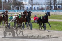 Dateiname=20251120_r05_093_R05_0217.jpg
Dateigröße=315KB
Abmessungen: 1000x667
hinzugefügt am: 21. November 2025 20251120_r05_093_R05_0217.jpg