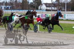 Dateiname=20251120_r05_095_R05_0224.jpg
Dateigröße=334KB
Abmessungen: 1000x667
hinzugefügt am: 21. November 2025 20251120_r05_095_R05_0224.jpg