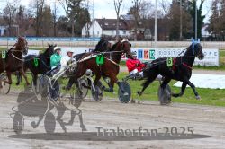 Dateiname=20251120_r05_096_R05_0226.jpg
Dateigröße=354KB
Abmessungen: 1000x667
hinzugefügt am: 21. November 2025 20251120_r05_096_R05_0226.jpg