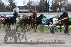 Dateiname=20251120_r05_097_R05_0231.jpg
Dateigröße=359KB
Abmessungen: 1000x667
hinzugefügt am: 21. November 2025 20251120_r05_097_R05_0231.jpg