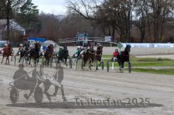 Dateiname=20251120_r05_105_R05_0258.jpg
Dateigröße=335KB
Abmessungen: 1000x667
hinzugefügt am: 21. November 2025 20251120_r05_105_R05_0258.jpg