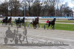 Dateiname=20251120_r05_106_R05_0261.jpg
Dateigröße=367KB
Abmessungen: 1000x667
hinzugefügt am: 21. November 2025 20251120_r05_106_R05_0261.jpg