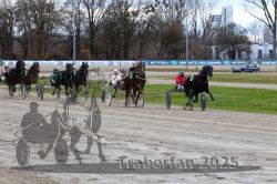 Dateiname=20251120_r05_107_R05_0263.jpg
Dateigröße=364KB
Abmessungen: 1000x667
hinzugefügt am: 21. November 2025 20251120_r05_107_R05_0263.jpg