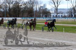 Dateiname=20251120_r05_109_R05_0267.jpg
Dateigröße=367KB
Abmessungen: 1000x667
hinzugefügt am: 21. November 2025 20251120_r05_109_R05_0267.jpg