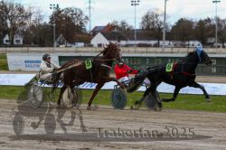 Dateiname=20251120_r05_118_R05_0282.jpg
Dateigröße=289KB
Abmessungen: 1000x667
hinzugefügt am: 21. November 2025 20251120_r05_118_R05_0282.jpg