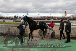 Dateiname=20251120_r05_126_E7D_0122.jpg
Dateigröße=289KB
Abmessungen: 1000x667
hinzugefügt am: 21. November 2025 20251120_r05_126_E7D_0122.jpg