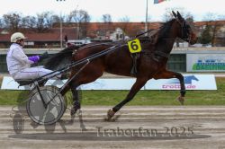 Dateiname=20251120_r06_028_R06_0076.jpg
Dateigröße=286KB
Abmessungen: 1000x667
hinzugefügt am: 21. November 2025 20251120_r06_028_R06_0076.jpg