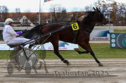 Dateiname=20251120_r06_029_R06_0077.jpg
Dateigröße=288KB
Abmessungen: 1000x667
hinzugefügt am: 21. November 2025 20251120_r06_029_R06_0077.jpg