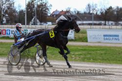 Dateiname=20251120_r06_042_R06_0105.jpg
Dateigröße=298KB
Abmessungen: 1000x667
hinzugefügt am: 21. November 2025 20251120_r06_042_R06_0105.jpg