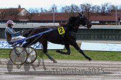 Dateiname=20251120_r06_046_R06_0113.jpg
Dateigröße=284KB
Abmessungen: 1000x667
hinzugefügt am: 21. November 2025 20251120_r06_046_R06_0113.jpg