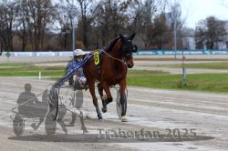 Dateiname=20251120_r06_049_R06_0119.jpg
Dateigröße=291KB
Abmessungen: 1000x667
hinzugefügt am: 21. November 2025 20251120_r06_049_R06_0119.jpg