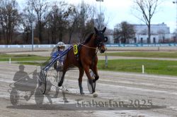 Dateiname=20251120_r06_050_R06_0121.jpg
Dateigröße=298KB
Abmessungen: 1000x667
hinzugefügt am: 21. November 2025 20251120_r06_050_R06_0121.jpg