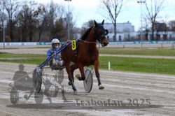 Dateiname=20251120_r06_051_R06_0123.jpg
Dateigröße=282KB
Abmessungen: 1000x667
hinzugefügt am: 21. November 2025 20251120_r06_051_R06_0123.jpg