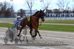 Dateiname=20251120_r06_052_R06_0125.jpg
Dateigröße=287KB
Abmessungen: 1000x667
hinzugefügt am: 21. November 2025 20251120_r06_052_R06_0125.jpg