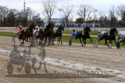 Dateiname=20251120_r06_057_R06_0136.jpg
Dateigröße=358KB
Abmessungen: 1000x667
hinzugefügt am: 21. November 2025 20251120_r06_057_R06_0136.jpg