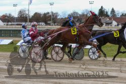 Dateiname=20251120_r06_062_R06_0150.jpg
Dateigröße=317KB
Abmessungen: 1000x667
hinzugefügt am: 21. November 2025 20251120_r06_062_R06_0150.jpg