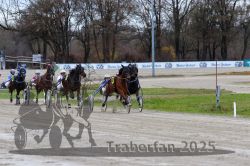 Dateiname=20251120_r06_064_R06_0155.jpg
Dateigröße=340KB
Abmessungen: 1000x667
hinzugefügt am: 21. November 2025 20251120_r06_064_R06_0155.jpg