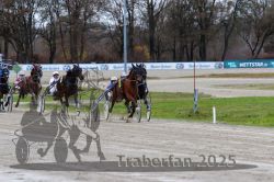 Dateiname=20251120_r06_066_R06_0159.jpg
Dateigröße=323KB
Abmessungen: 1000x667
hinzugefügt am: 21. November 2025 20251120_r06_066_R06_0159.jpg