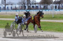 Dateiname=20251120_r06_071_R06_0169.jpg
Dateigröße=281KB
Abmessungen: 1000x667
hinzugefügt am: 21. November 2025 20251120_r06_071_R06_0169.jpg