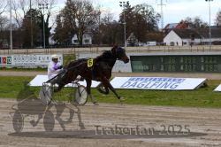 Dateiname=20251120_r06_075_R06_0177.jpg
Dateigröße=344KB
Abmessungen: 1000x667
hinzugefügt am: 21. November 2025 20251120_r06_075_R06_0177.jpg