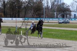 Dateiname=20251120_r06_084_R06_0201.jpg
Dateigröße=304KB
Abmessungen: 1000x667
hinzugefügt am: 21. November 2025 20251120_r06_084_R06_0201.jpg