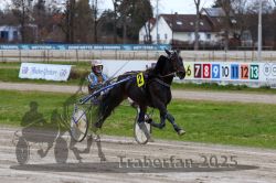 Dateiname=20251120_r06_085_R06_0204.jpg
Dateigröße=305KB
Abmessungen: 1000x667
hinzugefügt am: 21. November 2025 20251120_r06_085_R06_0204.jpg