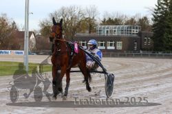 Dateiname=20251130_r02_011_R01_0198.jpg
Dateigröße=295KB
Abmessungen: 1000x667
hinzugefügt am: 07. Dezember 2025 20251130_r02_011_R01_0198.jpg