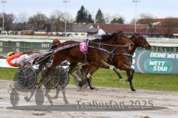 Dateiname=20251130_r02_094_R01_0367.jpg
Dateigröße=291KB
Abmessungen: 1000x667
hinzugefügt am: 07. Dezember 2025 20251130_r02_094_R01_0367.jpg