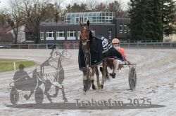 Dateiname=20251130_r02_109_E7D_0069.jpg
Dateigröße=311KB
Abmessungen: 1000x667
hinzugefügt am: 07. Dezember 2025 20251130_r02_109_E7D_0069.jpg