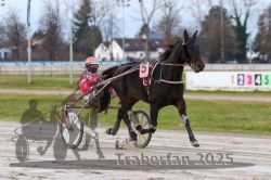 Dateiname=20251130_r03_022_R03_0041.jpg
Dateigröße=268KB
Abmessungen: 1000x667
hinzugefügt am: 07. Dezember 2025 20251130_r03_022_R03_0041.jpg