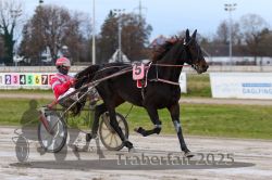 Dateiname=20251130_r03_023_R03_0045.jpg
Dateigröße=269KB
Abmessungen: 1000x667
hinzugefügt am: 07. Dezember 2025 20251130_r03_023_R03_0045.jpg