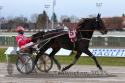 Dateiname=20251130_r03_025_R03_0050.jpg
Dateigröße=251KB
Abmessungen: 1000x667
hinzugefügt am: 07. Dezember 2025 20251130_r03_025_R03_0050.jpg