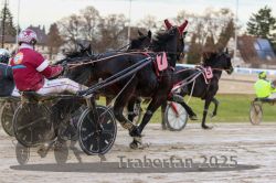 Dateiname=20251130_r03_039_R03_0089.jpg
Dateigröße=313KB
Abmessungen: 1000x667
hinzugefügt am: 07. Dezember 2025 20251130_r03_039_R03_0089.jpg