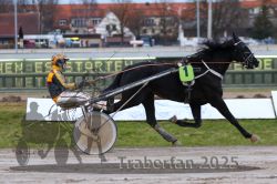 Dateiname=20251130_r05_029_R05_0068.jpg
Dateigröße=276KB
Abmessungen: 1000x667
hinzugefügt am: 07. Dezember 2025 20251130_r05_029_R05_0068.jpg