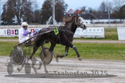 Dateiname=20251130_r05_039_R05_0088.jpg
Dateigröße=273KB
Abmessungen: 1000x667
hinzugefügt am: 07. Dezember 2025 20251130_r05_039_R05_0088.jpg