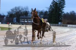 Dateiname=20251130_r06_010_R06_0021.jpg
Dateigröße=290KB
Abmessungen: 1000x667
hinzugefügt am: 07. Dezember 2025 20251130_r06_010_R06_0021.jpg