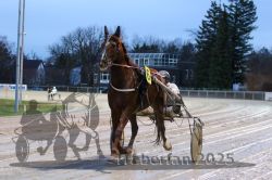 Dateiname=20251130_r06_011_R06_0023.jpg
Dateigröße=288KB
Abmessungen: 1000x667
hinzugefügt am: 07. Dezember 2025 20251130_r06_011_R06_0023.jpg