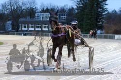 Dateiname=20251130_r06_013_R06_0030.jpg
Dateigröße=304KB
Abmessungen: 1000x667
hinzugefügt am: 07. Dezember 2025 20251130_r06_013_R06_0030.jpg