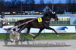 Dateiname=20251130_r06_022_R06_0051.jpg
Dateigröße=266KB
Abmessungen: 1000x667
hinzugefügt am: 07. Dezember 2025 20251130_r06_022_R06_0051.jpg