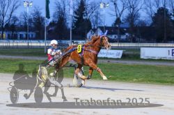 Dateiname=20251130_r06_024_R06_0054.jpg
Dateigröße=283KB
Abmessungen: 1000x667
hinzugefügt am: 07. Dezember 2025 20251130_r06_024_R06_0054.jpg