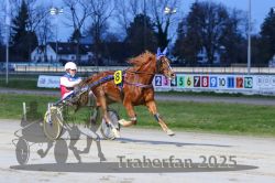 Dateiname=20251130_r06_025_R06_0056.jpg
Dateigröße=289KB
Abmessungen: 1000x667
hinzugefügt am: 07. Dezember 2025 20251130_r06_025_R06_0056.jpg