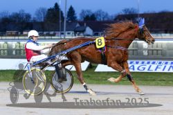 Dateiname=20251130_r06_029_R06_0064.jpg
Dateigröße=278KB
Abmessungen: 1000x667
hinzugefügt am: 07. Dezember 2025 20251130_r06_029_R06_0064.jpg