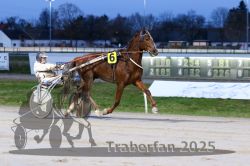 Dateiname=20251130_r06_032_R06_0071.jpg
Dateigröße=262KB
Abmessungen: 1000x667
hinzugefügt am: 07. Dezember 2025 20251130_r06_032_R06_0071.jpg